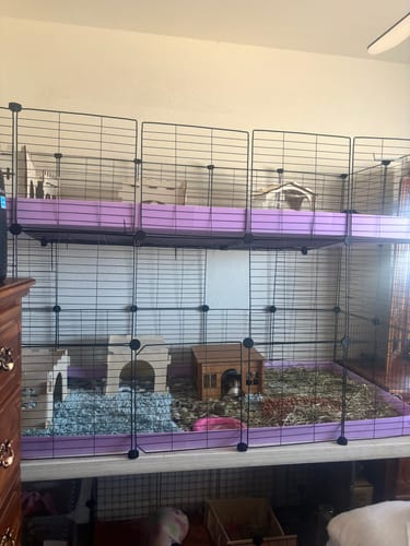Customer photo review of Two Tier 5x2 C&C Double Cage