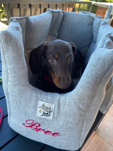 Customer photo review of Trasportino Mattias (Soft Touch) Grigio