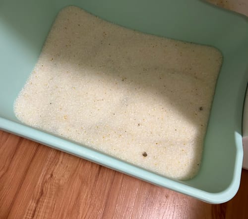 Customer photo review of 1 Month Supply – 3 Cat