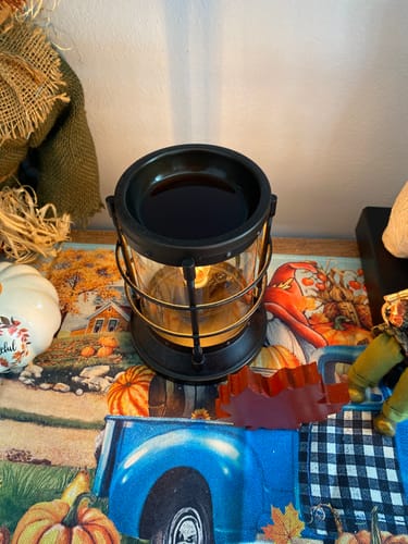 Customer photo review of Back Porch Grubby Wax Melts- You Pick Size & Strength