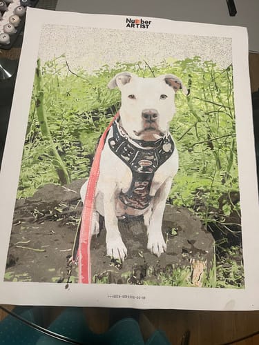 Customer photo review of Custom Paint by Numbers Kit