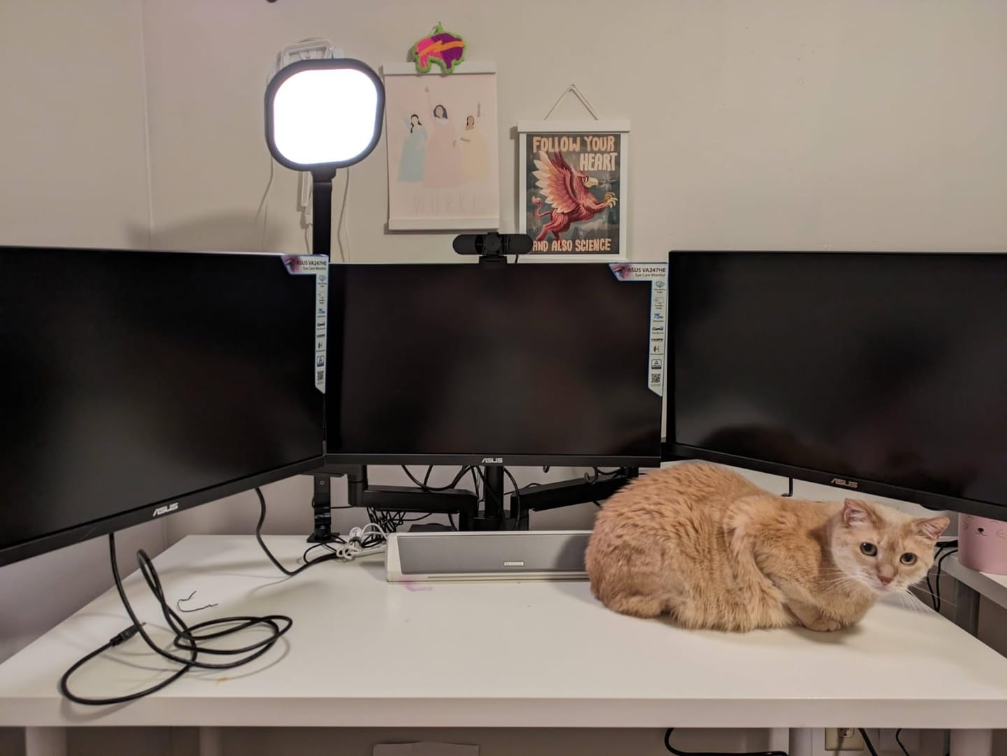 Customer photo review of LitONES ComforGlow F618