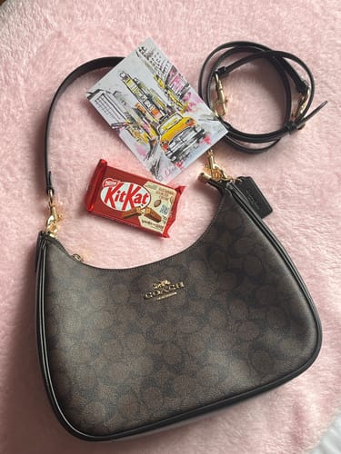 Customer photo review of Teri Hobo Bag In Signature Canvas (Gold Brown Black)