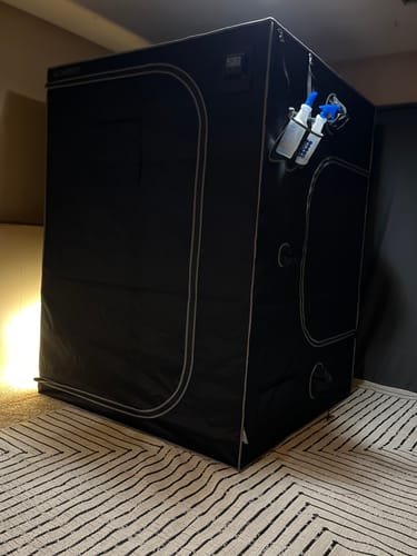 Customer photo review of Automated Grow Tent Kit AC Infinity EVO8 LED 6-Plant 5’ x 5’ x 6’8"