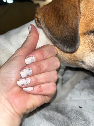 Customer photo review of Nail Wrap Basic Starter Kit