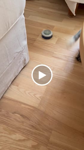 Customer video review of Trixie - Memory Trainer Aktiveringslegetøj