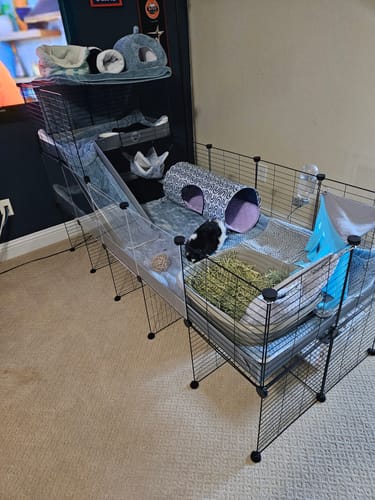 Customer photo review of C&C Cage Grids
