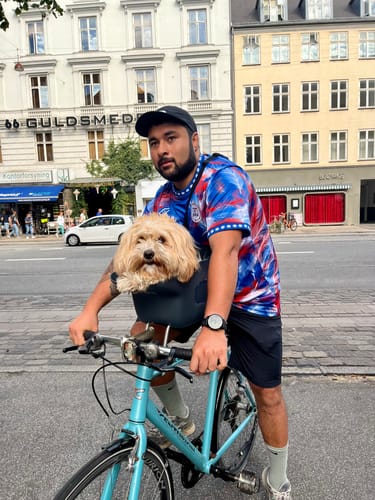 Customer photo review of Kvisp Dog Bike Carrier