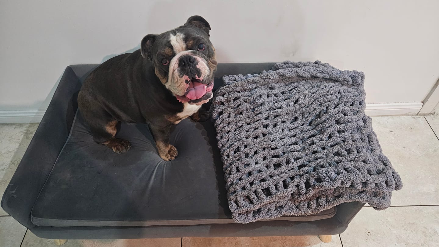 Customer photo review of PaWz Warm Soft Lounge Couch Chair Bed