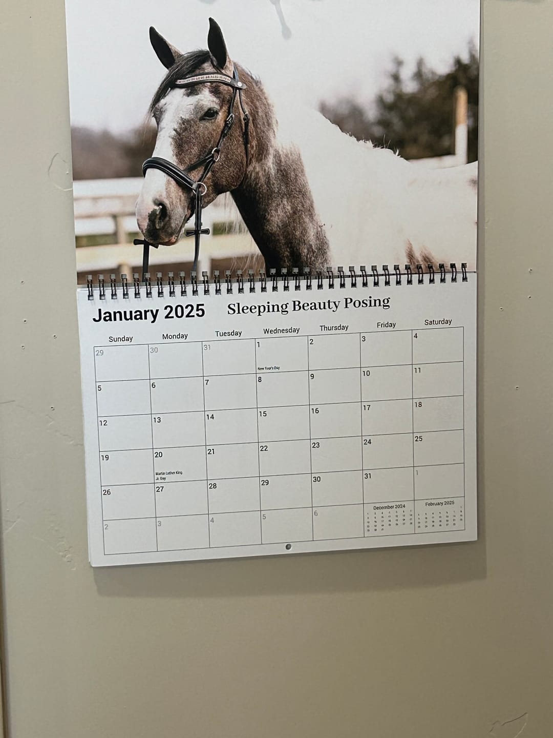 Customer photo review of Free Spirit Equestrian 2025 Calendar