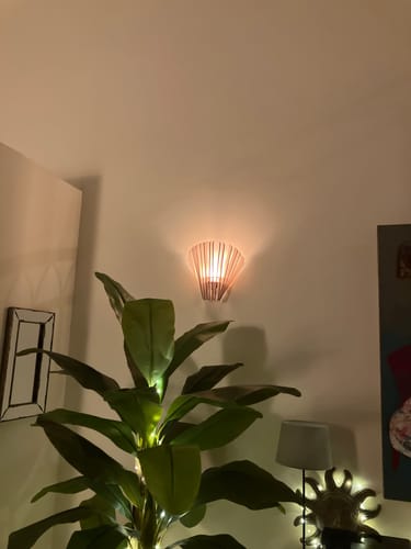 Customer photo review of Aqua | Applique