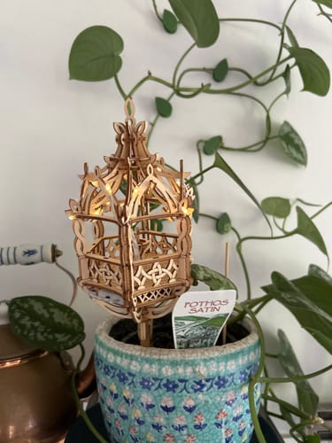 Customer photo review of Spring Pavilion