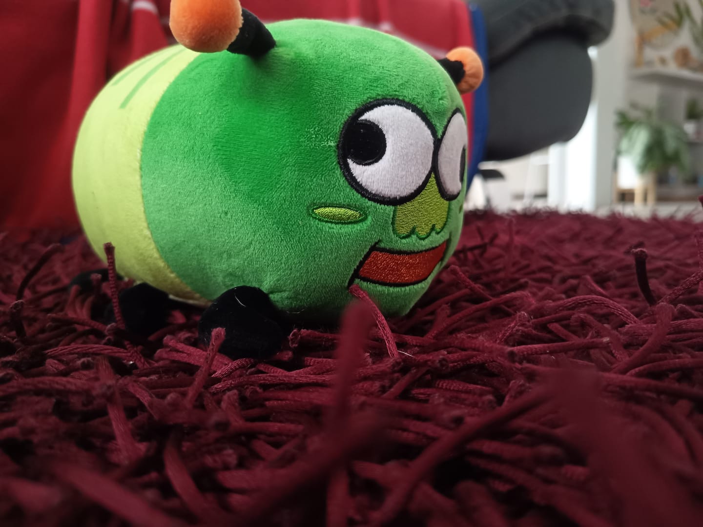 Customer photo review of Peluche Bruco Gianluco + Albo Fumetti e Canzoni!