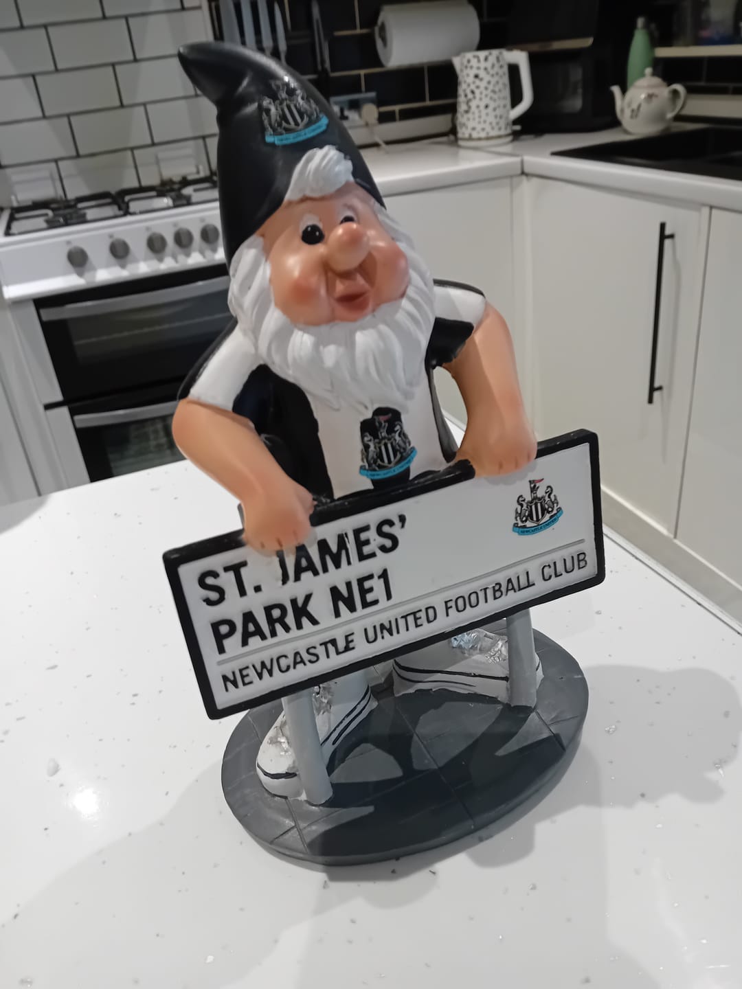 Customer photo review of Newcastle United FC Street Sign Gnome