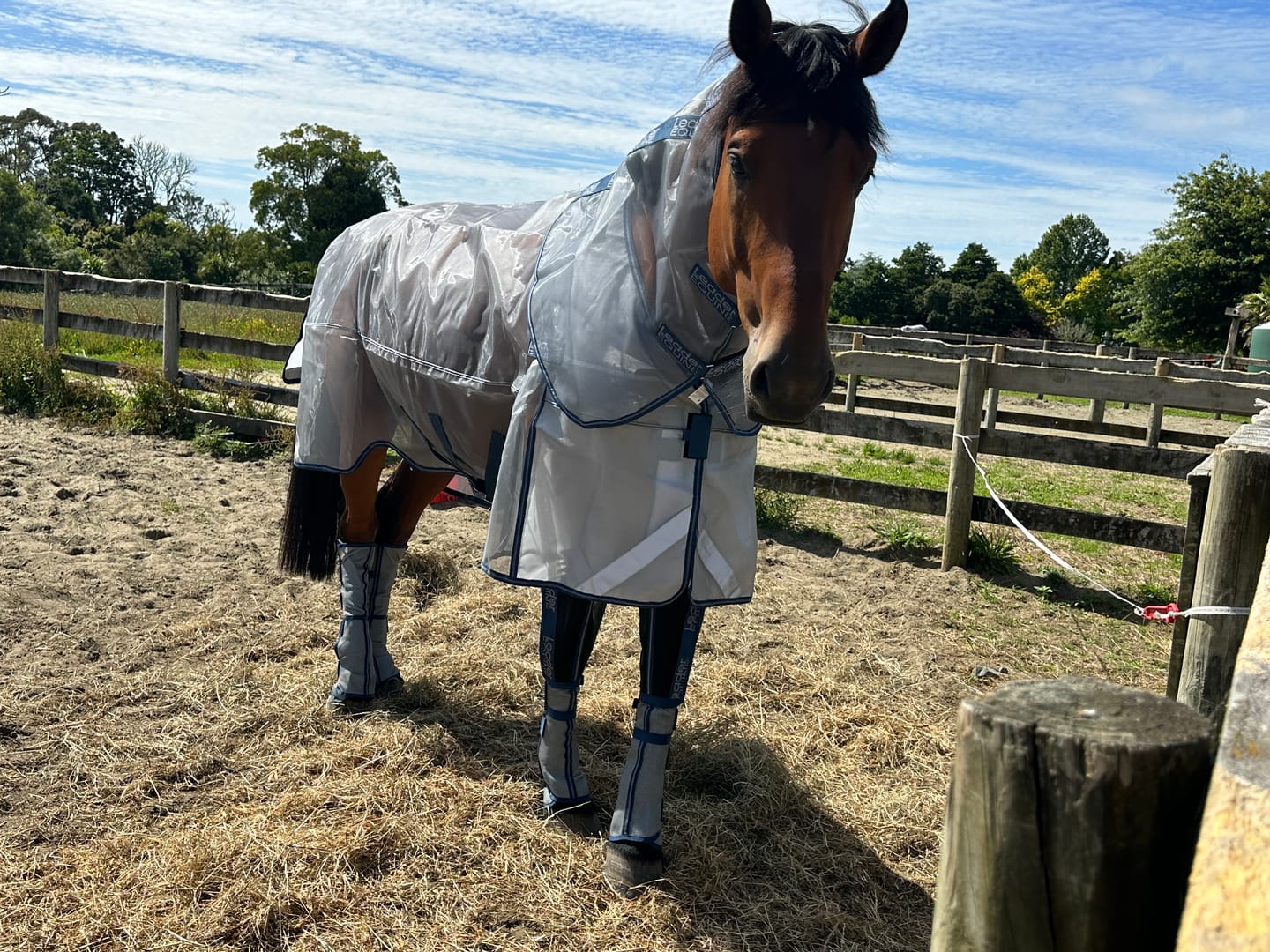 Customer photo review of LE Defender Fly Boots