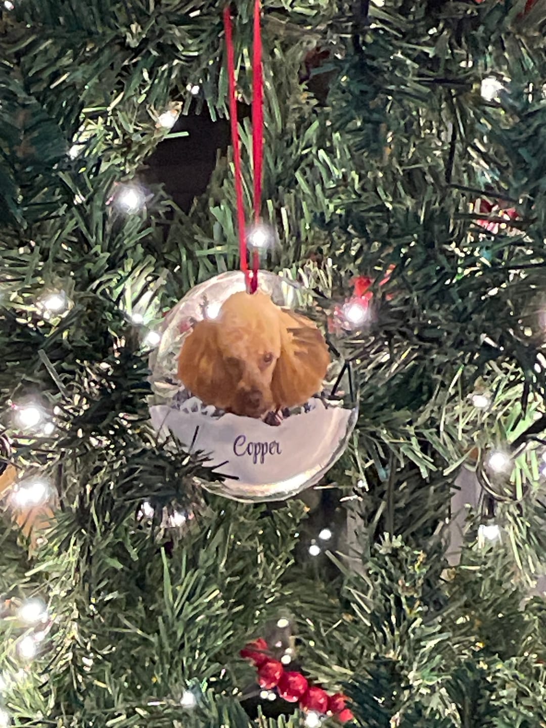 Customer photo review of Personalized Photo Dog Glass Ornament For Christmas