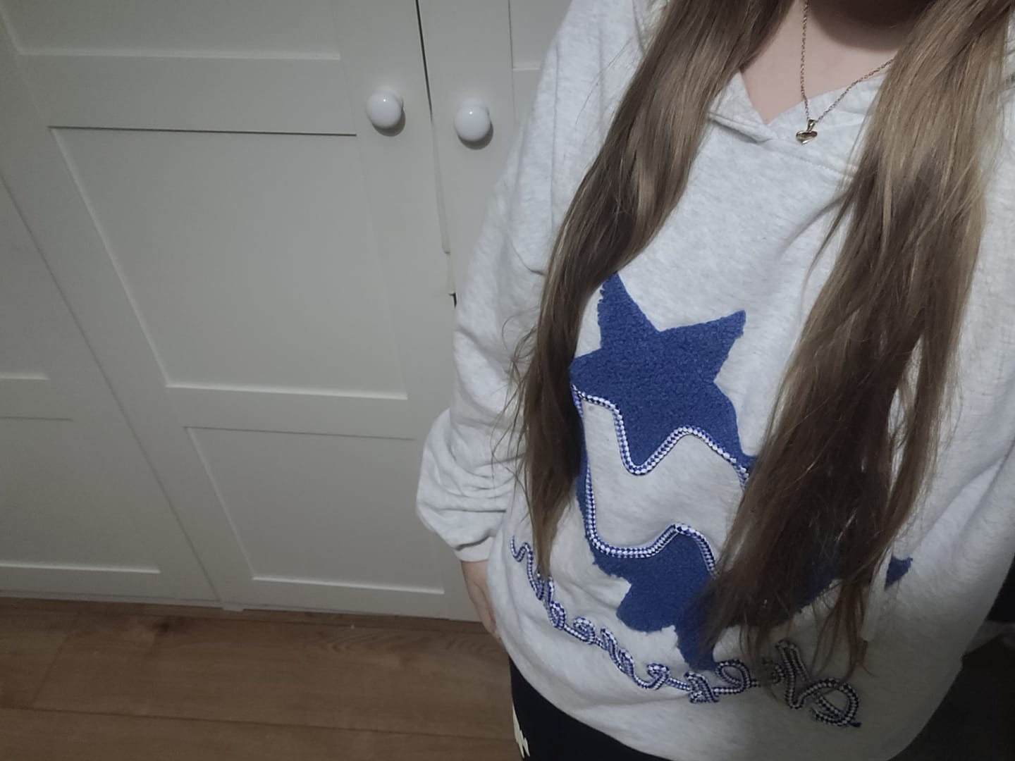 Customer photo review of Aelfric Eden Stellaris Embroidered Hoodie