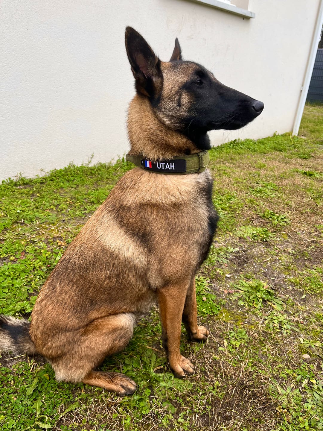 Customer photo review of Patch militaire personnalisé Français