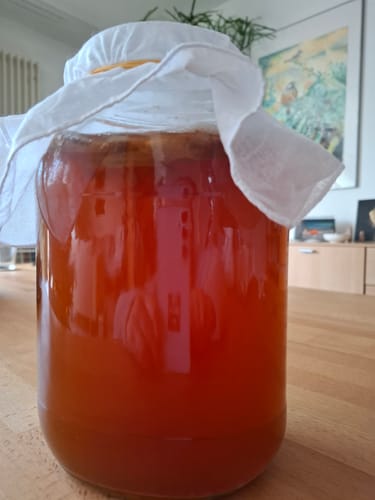 Customer photo review of BIO Kombucha-Starterset: Vollausstattung mit Premium Scoby