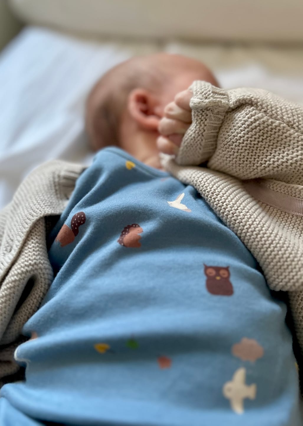 Customer photo review of Woodland Folk Organic Baby Bodysuit Set - 2 Pack