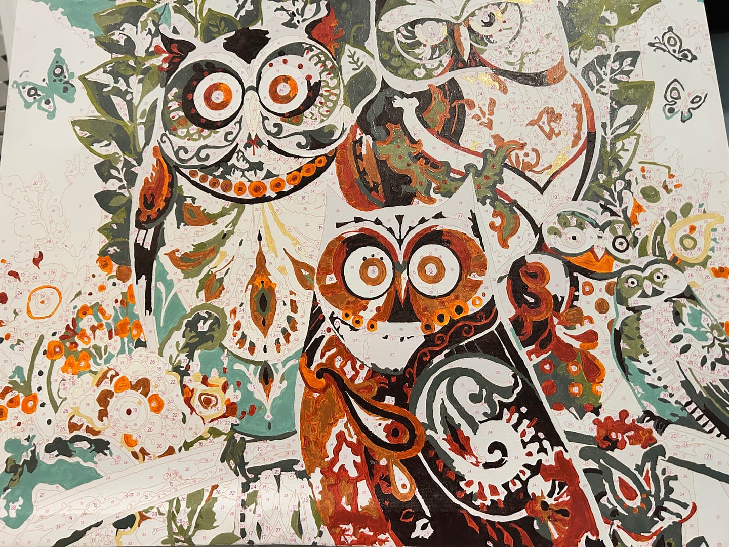 Customer photo review of Painting of Owls - Paint by Numbers