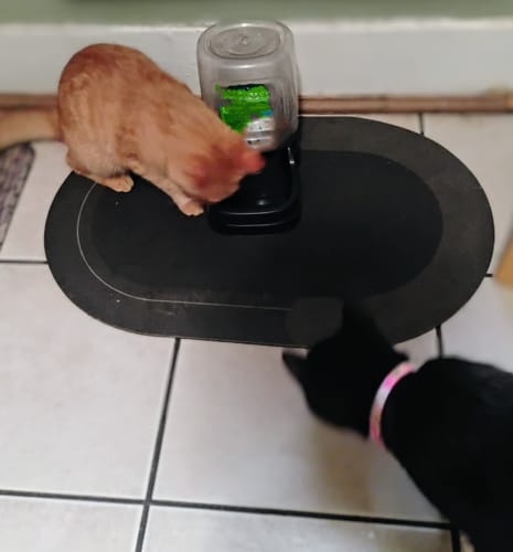 Customer photo review of The Magic Mat™ | Blank Version