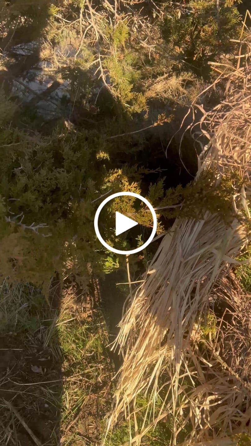 Customer video review of Tidewe Panel Blind Waterfowl Duck Hunting Blind