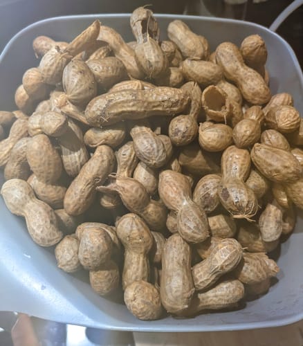 Customer photo review of Add a Bag - (1 Bag)