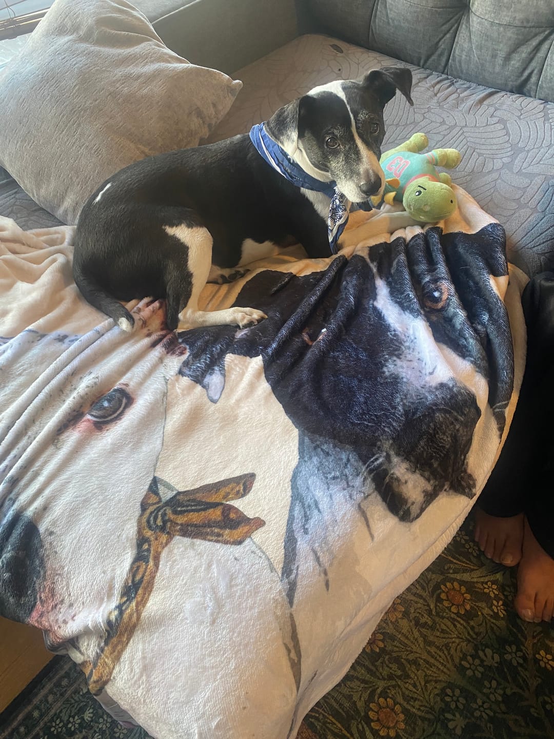 Customer photo review of Custom Pet Art Fleece Blanket