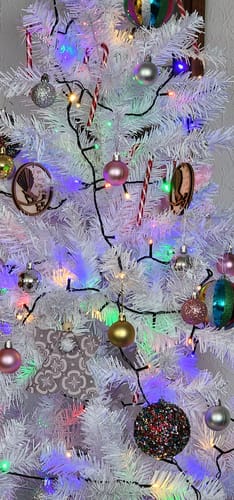 Customer photo review of Fantail Memorial Ornament