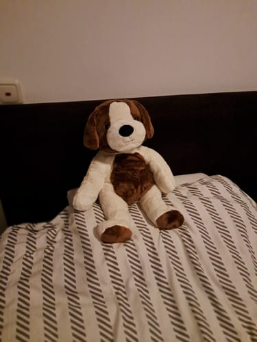 Customer photo review of Lotgenootje Hond 2kg