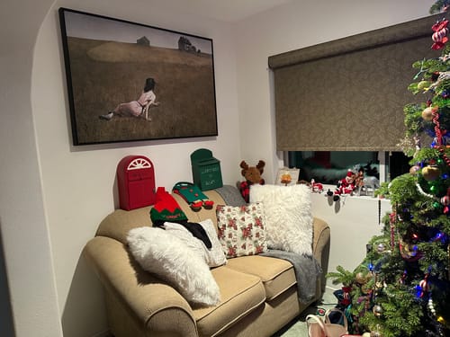 Customer photo review of Christina's World | Andrew Wyeth | 1948