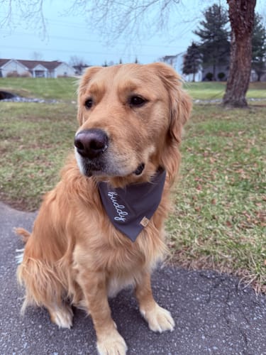 Customer photo review of Custom Saying Embroidered Bandana
