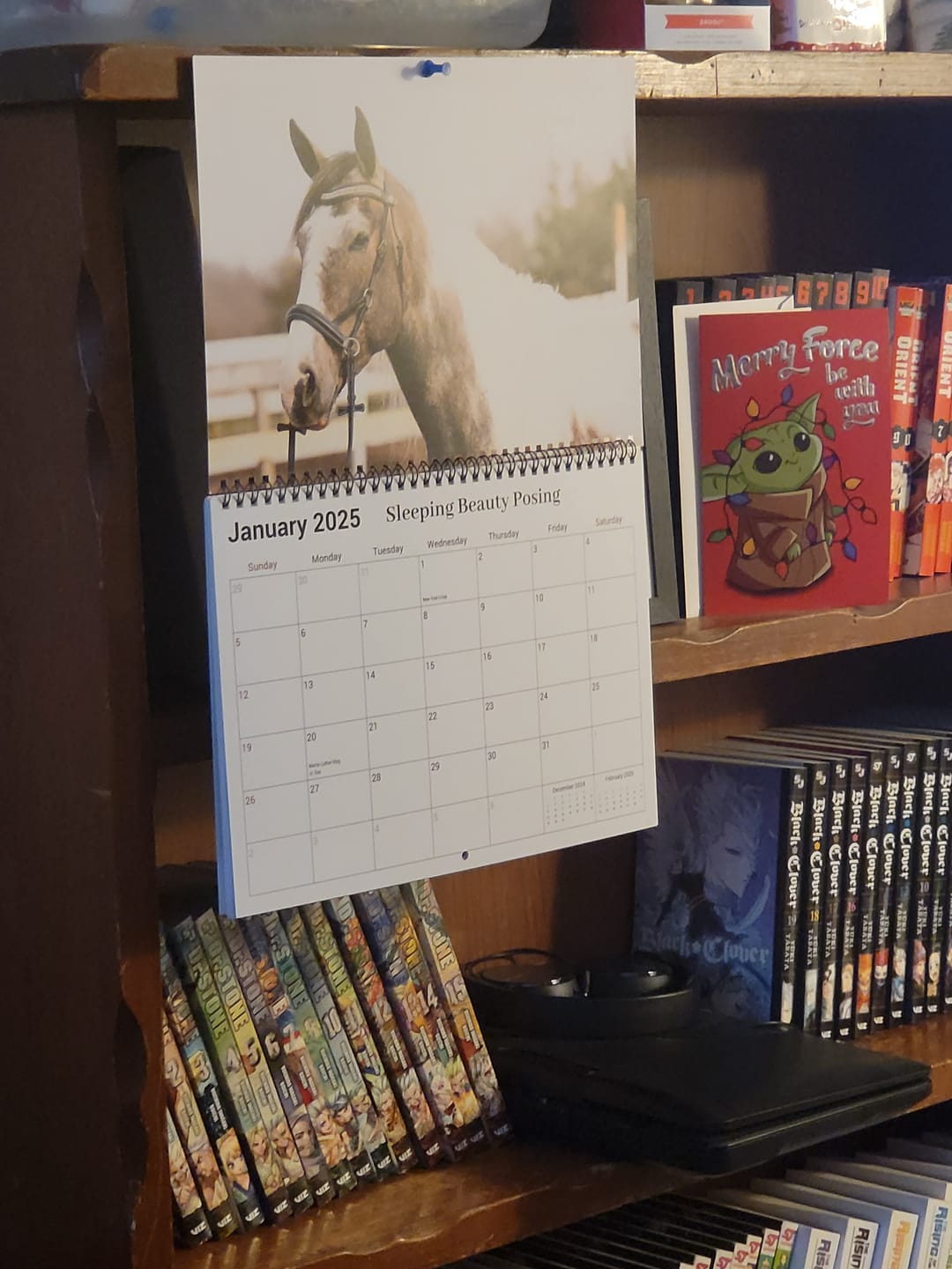 Customer photo review of Free Spirit Equestrian 2025 Calendar