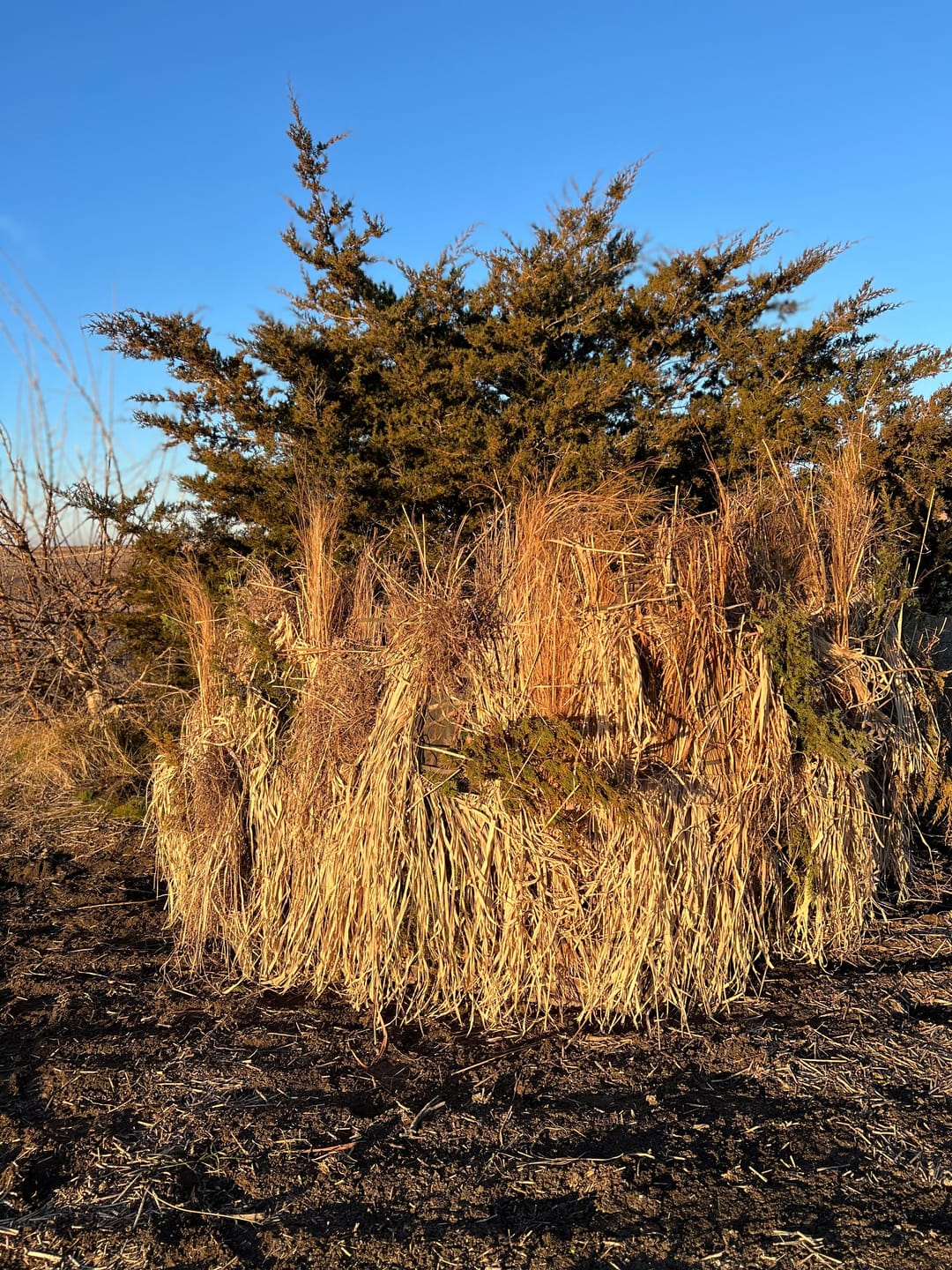 Customer photo review of Tidewe Panel Blind Waterfowl Duck Hunting Blind