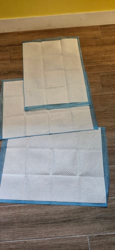 Customer photo review of Alphapets 加厚款寵物尿布墊 S / M / L 8包 / 箱