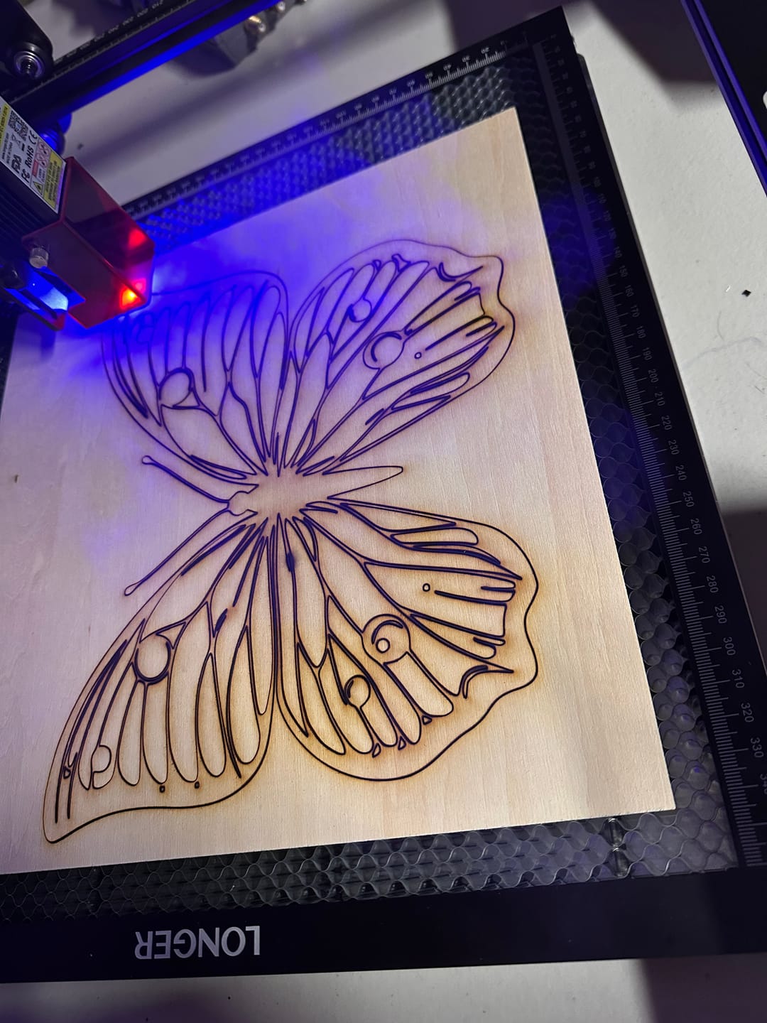 Customer photo review of Longer RAY5 5W/10W/20W Laser Engraver