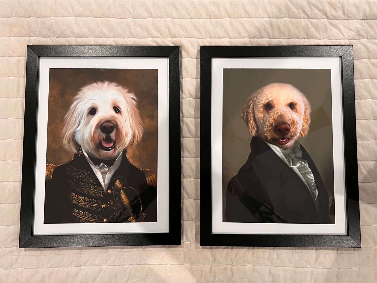 Customer photo review of The Prince Custom Pet Portrait