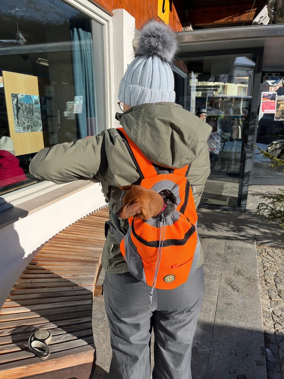 Customer photo review of Emmalove - Hunde-Rucksack