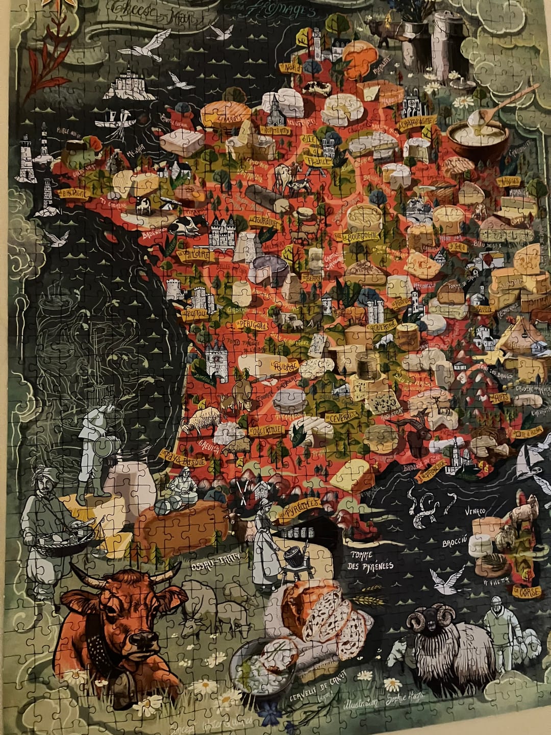 Customer photo review of Cheese Puzzle - France