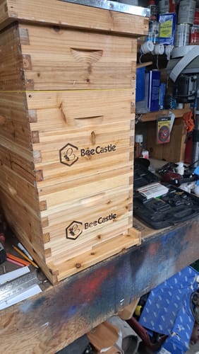 Customer photo review of BeeCastle Hives Cedar Wood 8 Frame 3 Layer Langstroth Bee Hive Coated with 100% Beeswax Includes Beehive Frames and Waxed Foundations(2 Deep Brood Bee Boxes and 1 Super Medium Box)