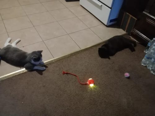 Kundenbewertung – Foto