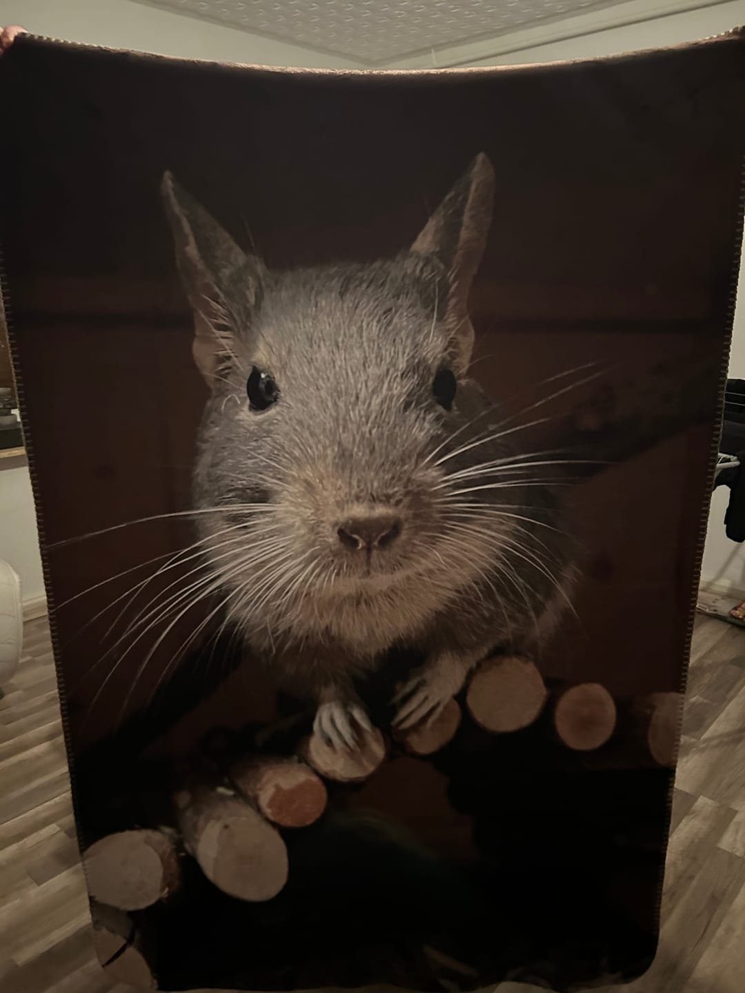 Customer photo review of Eigenes Foto - Individuelle Decke