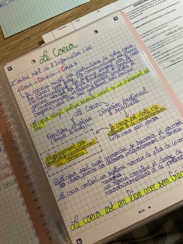 Avis photo d'un client sur OXFORD Porte fiches bristol A5 School Life # 80 vues / 40 pochettes - Rose pastel