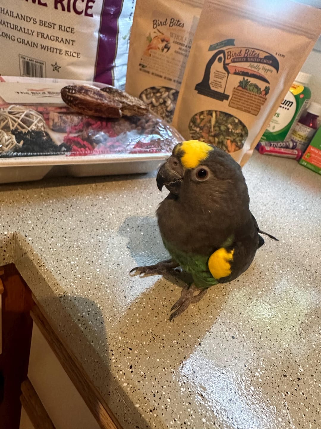 Customer photo review of Bird Bites Freeze Dried Chop - Totally Veggies - No Fruit