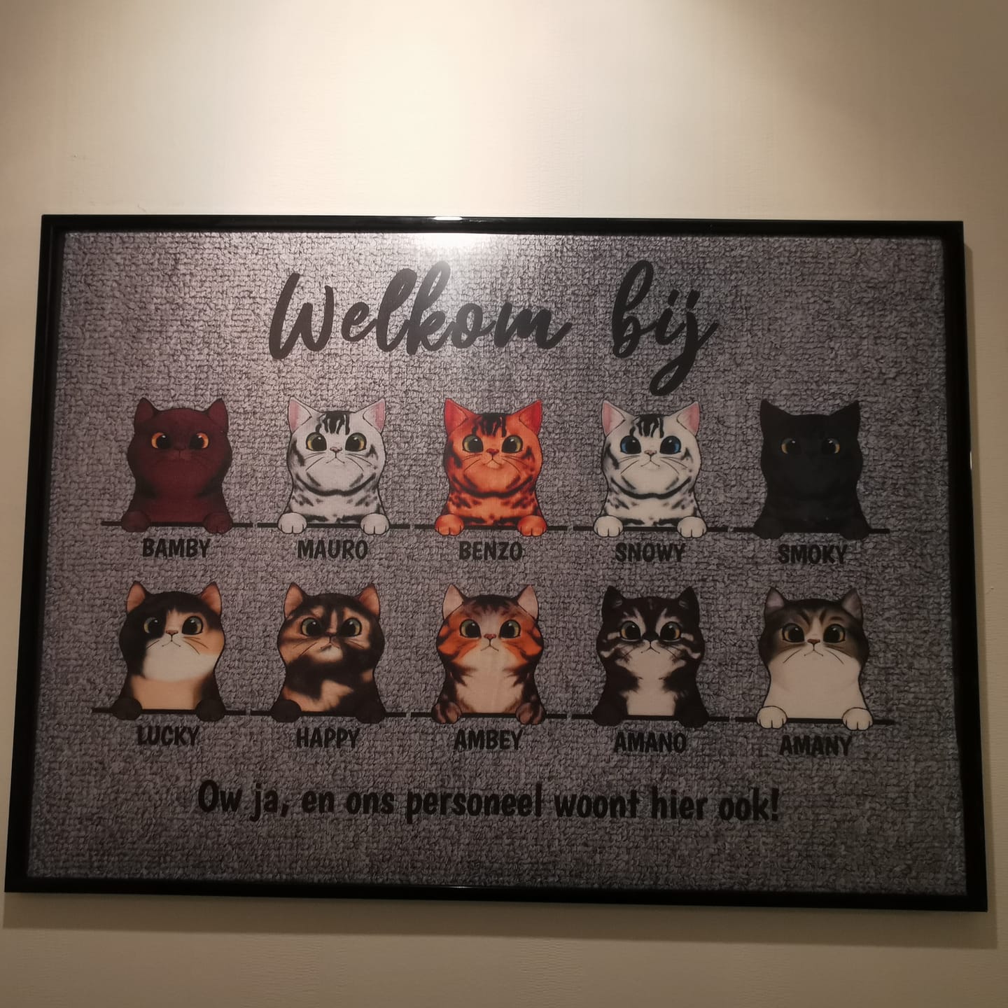 Customer photo review of Welkom bij nieuwsgierige katten - Gepersonaliseerde deurmat