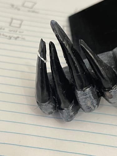 Customer photo review of Creepy Devils Hand Bookmark