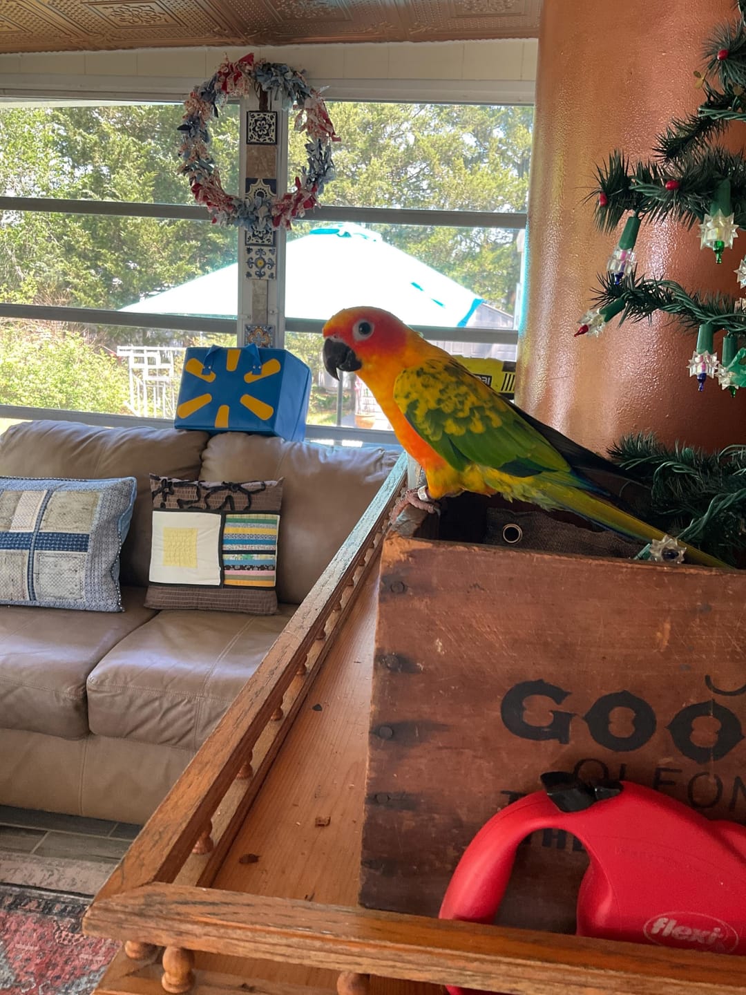 Customer photo review of Bird Bites Freeze Dried Chop - Totally Veggies - No Fruit