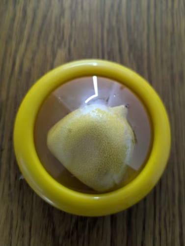 Customer photo review of The FreshPouch™