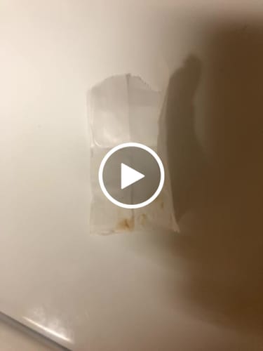 Customer video review of Non Detect Mushroom Extract - 50% Off